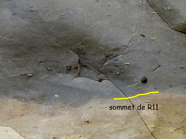 Gros plan sur le contact supérieur de R11 - nombreux débris fossiles