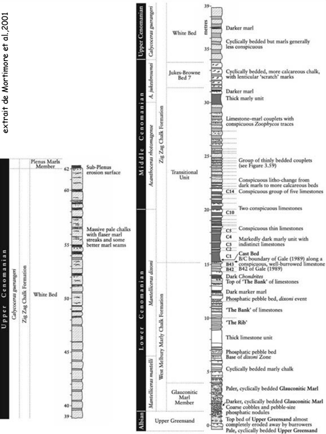 Log stratigraphique du Cénomanien de la Baie de Compton, d'après Mortimore et al. (2001)