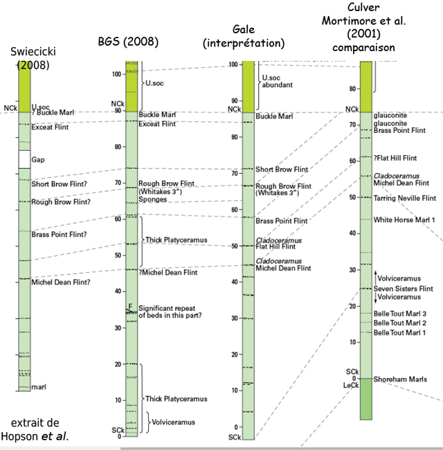 Partie du log stratigraphique de la Baie de Scratchell, extrait de Hopson et al.,2008