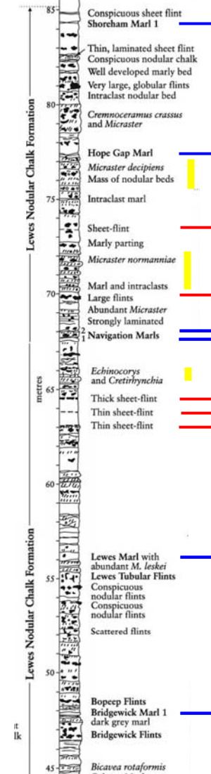 Log stratigraphique duTuronien supérieur - Coniacien inférieur près des aiguilles de la Baie de Freshwater - modifié d'après Mortimore et al. (2001)