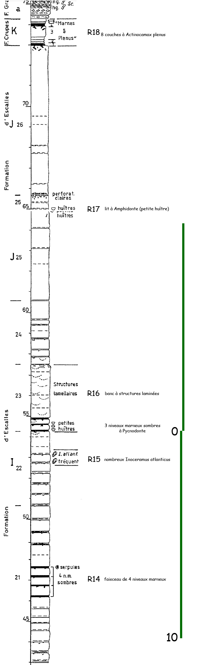 Lithostratigraphie de la partie supérieure du Cénomanien du Blanc-Nez, d'après F. Amédro et F. Robaszynski (2002), modifié